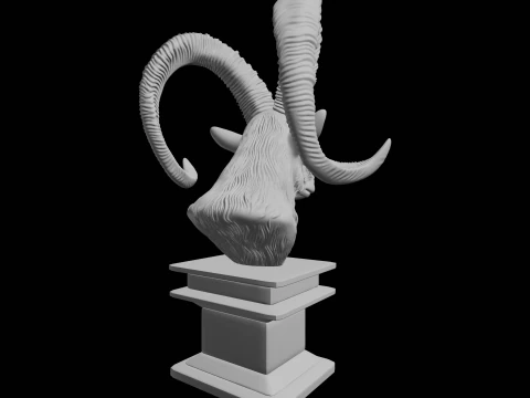 Ibex Goat Head Bust 3D Print Model