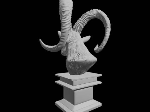 Ibex Goat Head Bust 3D Print Model