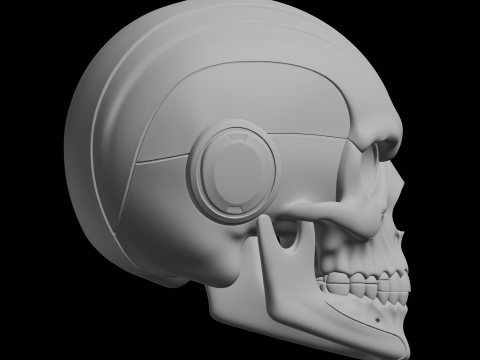 Cyber Skull Bust 3D Print Model