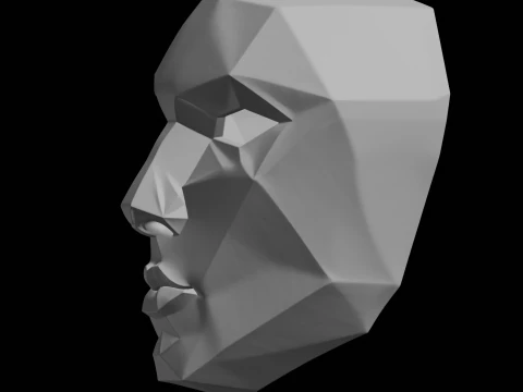Geometric Decorative Face Mask 3D Print Model