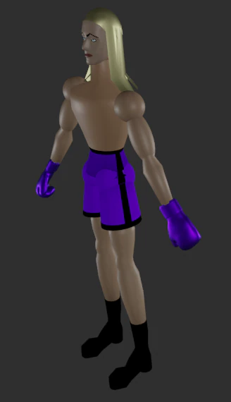 Male Boxer 2 RIGGED-Low-Poly 3D Model .c4d .max .obj .3ds .fbx .stl .blend 