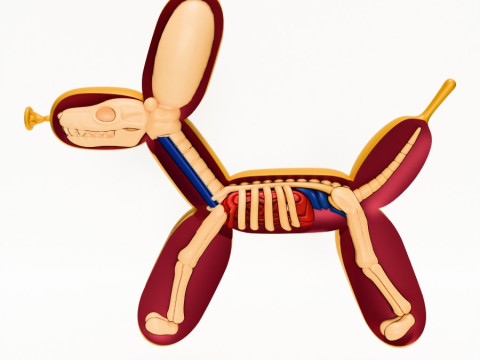 3D Printing Dissect Balloon Dog toy Modello 3D