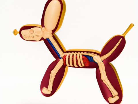 3D Printing Dissect Balloon Dog toy 3D 模型