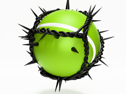 3D Printing Wilson Tennis Ball Thorn toy 3D 모델