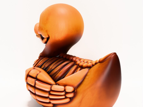 3D Printing Duck Minimalist Skeletal toy 3D Model