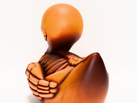 3D Printing Duck Minimalist Skeletal toy 3D Model