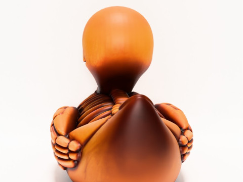 3D Printing Duck Minimalist Skeletal toy 3D Model