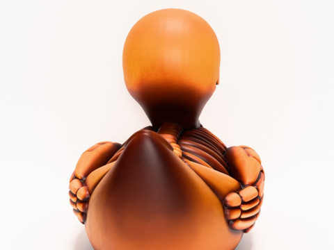 3D Printing Duck Minimalist Skeletal toy 3D Model