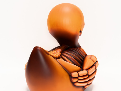 3D Printing Duck Minimalist Skeletal toy 3D Model