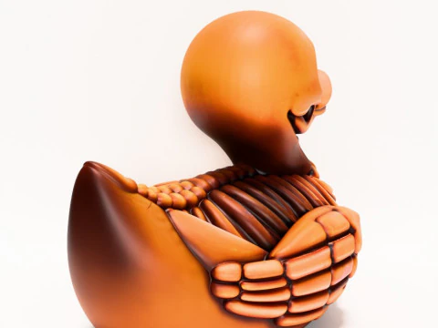 3D Printing Duck Minimalist Skeletal toy 3D Model