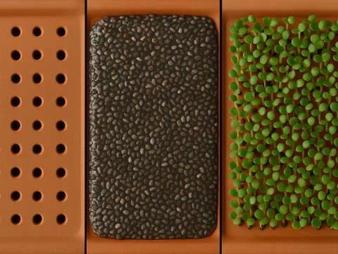 3D Printing Chicken Sprouter Seed Chia Radish microgreens Lentil sprouts Germinator 3D Model