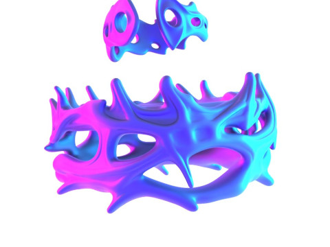 3D Printing Ring and Crown of Thorns toy 3D Модель