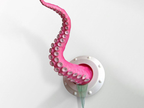 3D Printing Pink Tentacle Wall Decoration toy 3D 모델