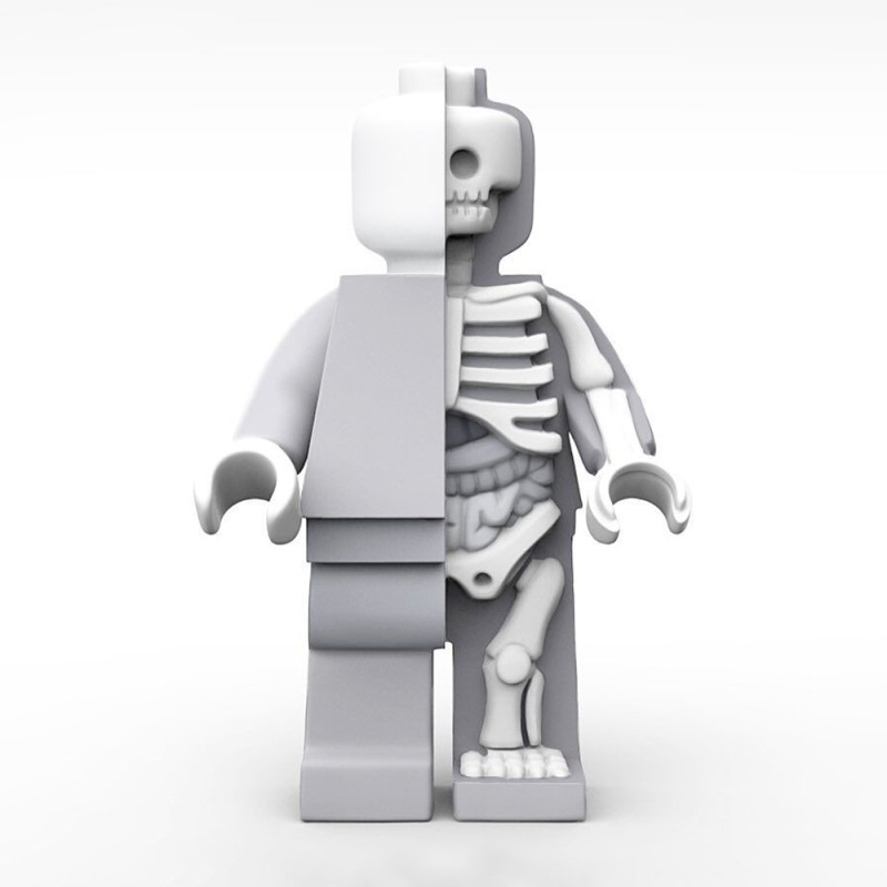 3D Printing Dissected Brick Minifig Anatomic LEGO toy 3D 模型 .c4d .max .obj .3ds .fbx .stl .blend 