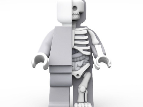 3D Printing Dissected Brick Minifig Anatomic LEGO toy Modello 3D