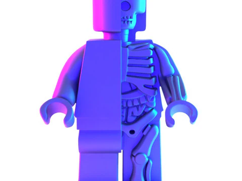 3D Printing Dissected Brick Minifig Anatomic LEGO toy 3D Model