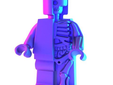 3D Printing Dissected Brick Minifig Anatomic LEGO toy 3D 模型