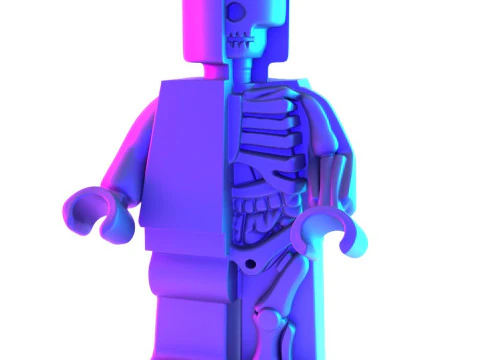 3D Printing Dissected Brick Minifig Anatomic LEGO toy 3D Model