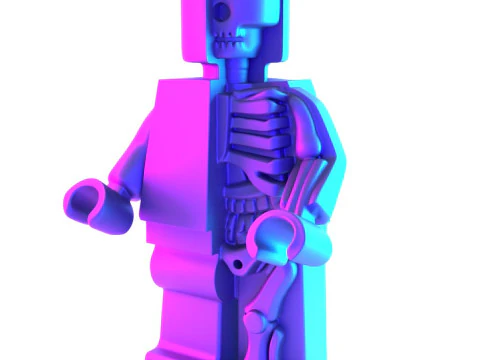 3D Printing Dissected Brick Minifig Anatomic LEGO toy 3D Model