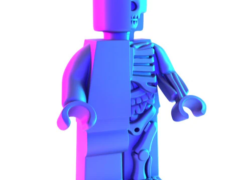 3D Printing Dissected Brick Minifig Anatomic LEGO toy 3D Model