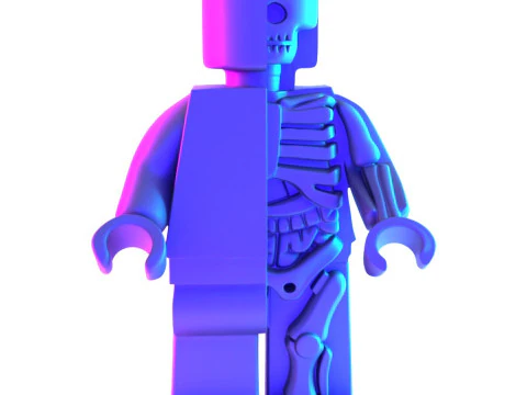 3D Printing Dissected Brick Minifig Anatomic LEGO toy 3D Model