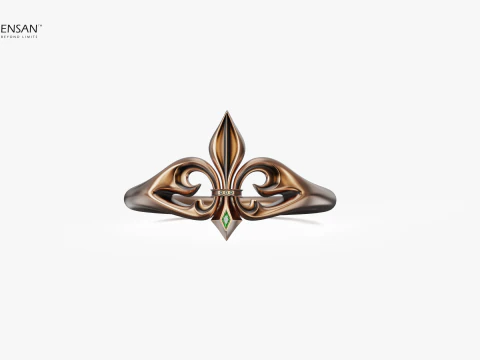 Fleur De Lis Ring 3D Print Model