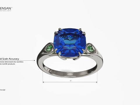 Harry Winston Style Ring 3D 프린트 모델