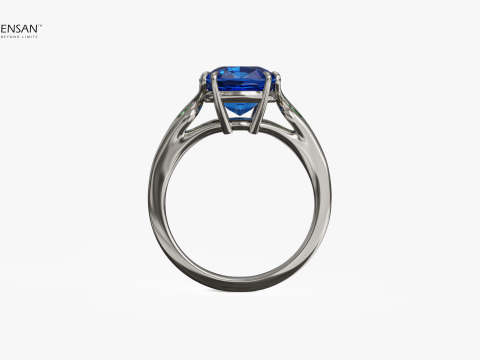 Harry Winston Style Ring 3D 프린트 모델