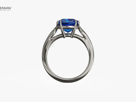 Harry Winston Style Ring 3D Print Model