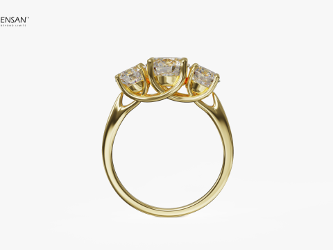 Trellis Ring 3D Print Model