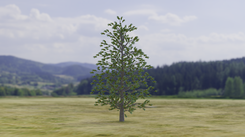 Arnold Tree 3D Model .c4d .max .obj .3ds .fbx .stl .blend 