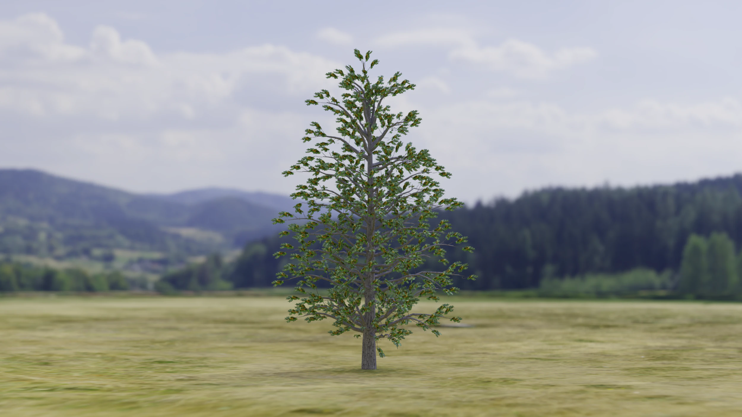 Arnold Tree 3D Model .c4d .max .obj .3ds .fbx .stl .blend 