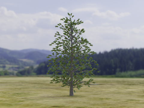 Pohon Arnold Model 3D