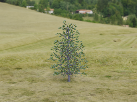 Arnold Tree 3D Model