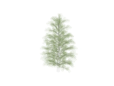 Arnold Tree 3D Model