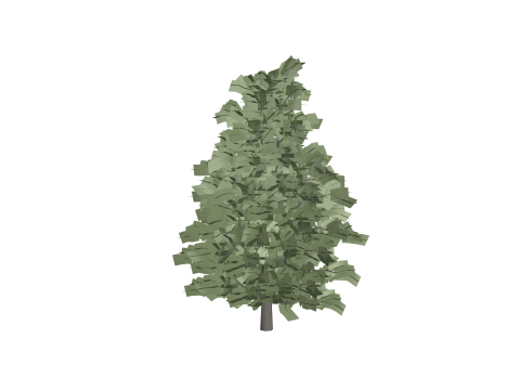 Arnold Tree 3D Model