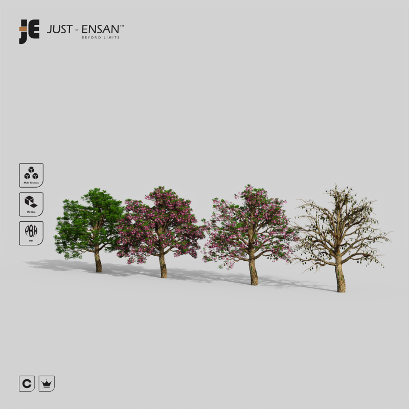Chorisia Speciosa Tree - 4 Seasons 3D Model .c4d .max .obj .3ds .fbx .stl .blend