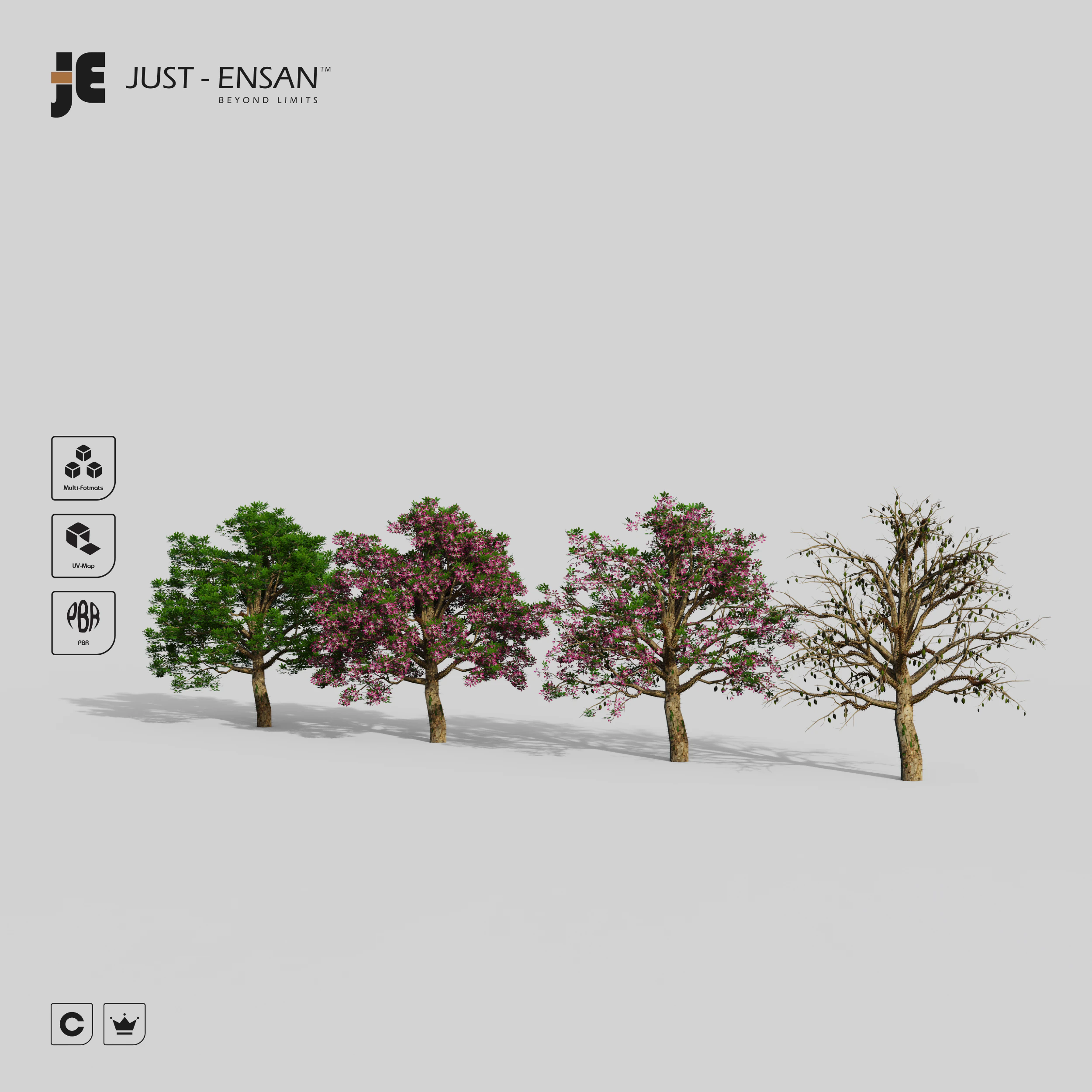 Chorisia Speciosa Tree - 4 Seasons 3D Model .c4d .max .obj .3ds .fbx .stl .blend 