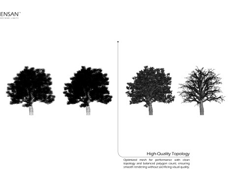 Chorisia Speciosa Tree - 4 Seasons 3D Model
