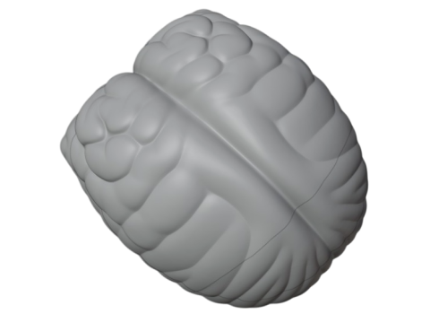 Scary 3D Mask - Halloween Pumpkin Brain - READY TO PRINT Model do druku 3D