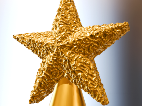 Dokulu Noel Yıldızları Kiti 3D STL Dosyaları Blender D&uuml;zenlenebilir Boyut 3D Baskı Modeli