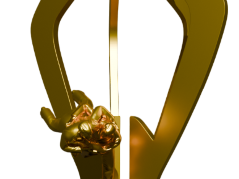 3D Judo Trophy Premium Model for 3D Printing 3D Print Model