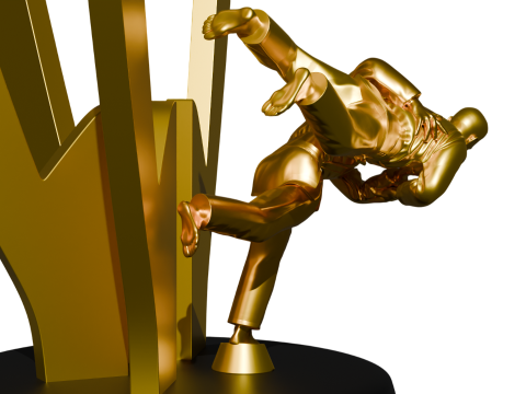 3D Baskı i&ccedil;in 3D Judo Trophy Premium Modeli 3D Baskı Modeli