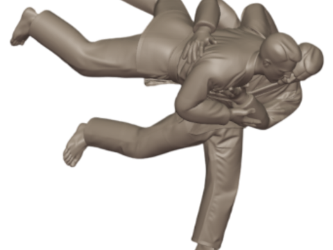 3D Baskı i&ccedil;in 3D Judo Trophy Premium Modeli 3D Baskı Modeli