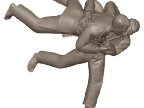 3D Judo Trophy Premium Model for 3D Printing 3D Print Model
