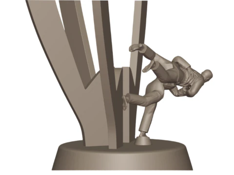 3D Judo Trophy Premium Model for 3D Printing 3D Print Model