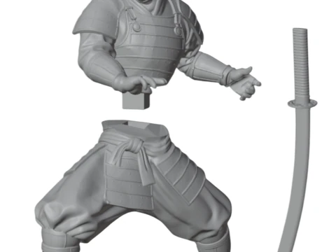 Samurai Karate Trophy Premium 3D Print Model