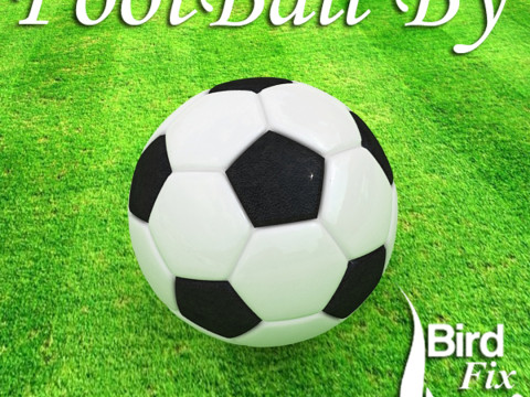 Football 3Dモデル