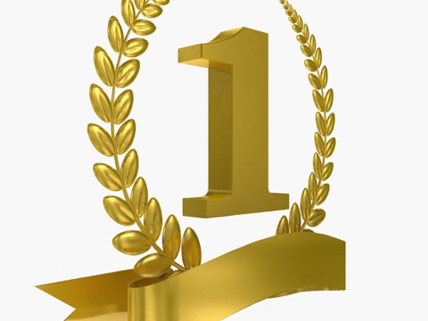 1. Preis-Trophäe 3D Modell