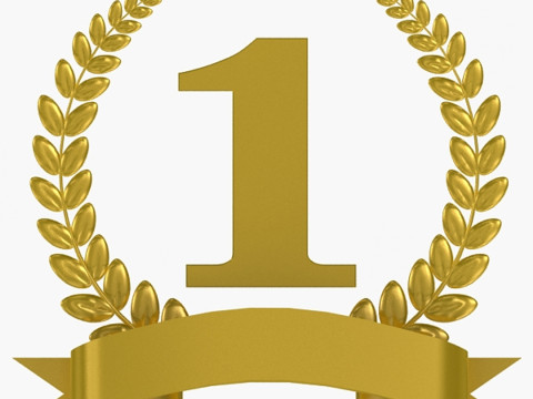 1. Preis-Trophäe 3D Modell